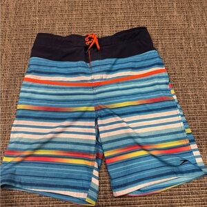 Speedo Multicolor Striped Swim Trunks